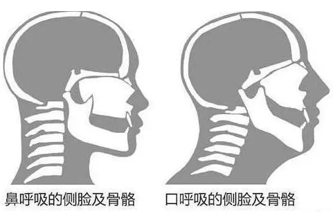 &#21326;&#20307;&#20250;&#20307;&#32946;&#45;&#21326;&#20307;&#20250;&#40;&#20013;&#22269;&#41;