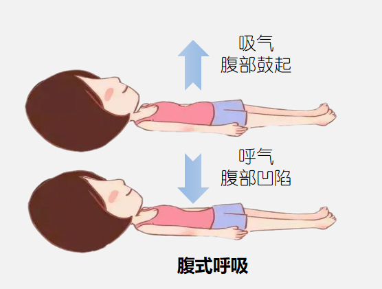 &#21326;&#20307;&#20250;&#20307;&#32946;&#45;&#21326;&#20307;&#20250;&#40;&#20013;&#22269;&#41;
