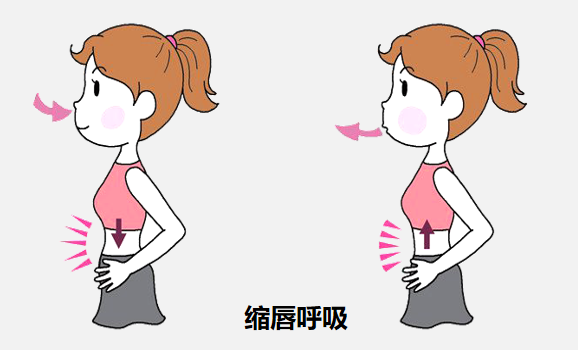 &#21326;&#20307;&#20250;&#20307;&#32946;&#45;&#21326;&#20307;&#20250;&#40;&#20013;&#22269;&#41;