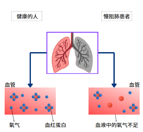 &#21326;&#20307;&#20250;&#20307;&#32946;&#45;&#21326;&#20307;&#20250;&#40;&#20013;&#22269;&#41;